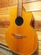 Takamine TDP610N 【2007年製】_5