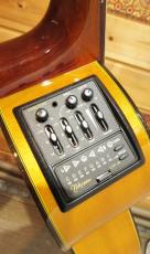 Takamine TDP610N 【2007年製】_8
