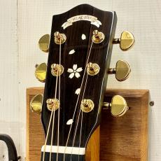 Headway HOC-SAKURA/JS SBL-GRD #JT260623 【Dr.Sound】_7