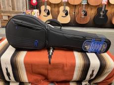 Reunion Blues RB Expedition Banjo Case