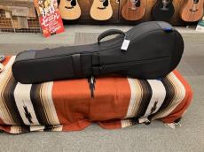 Reunion Blues RB Expedition Banjo Case_2