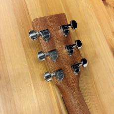 Martin D-X2E Brazilian Burst Special #3098074 【エレアコ】【Dr.Sound】_9