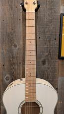 Ibanez AAM370E 【エレアコ】_6