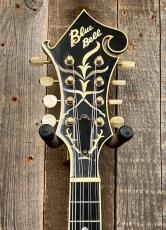 BlueBell EM-12 Ca.1979_6