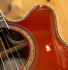 Takamine 2026年製 匠TAKUMI  ~Antique Nutmeg~   【無金利分割OK】【送料込み】_6