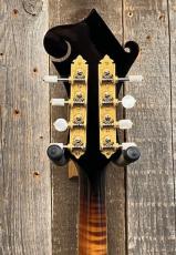 Collings MF-5 Varnish "Fern" 2016_4