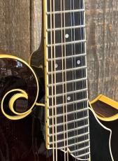 Collings MF-5 Varnish "Fern" 2016_5