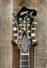 Collings MF-5 Varnish "Fern" 2016_6