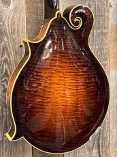 Collings MF-5 Varnish "Fern" 2016_8
