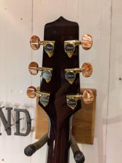 Takamine PTU731KC SP08 【限定15本】_9