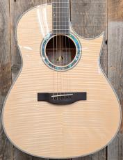 Morris TC-16 NAT 【L.R.Baggs Element搭載】