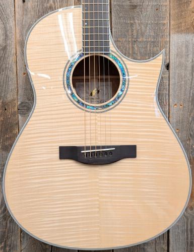 Morris TC-16 NAT 【L.R.Baggs Element搭載】