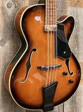 Gold Tone Mandocello with Pickup【USED】