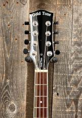 Gold Tone Mandocello with Pickup【USED】_5