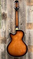 Gold Tone Mandocello with Pickup【USED】_6