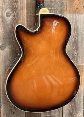 Gold Tone Mandocello with Pickup【USED】_7