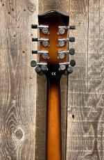 Gold Tone Mandocello with Pickup【USED】_8