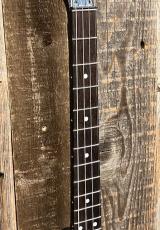 Gold Tone AC-4IT Acoustic Compoosite Tenor Banjo_4