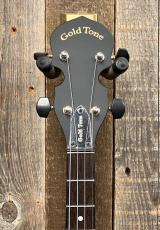 Gold Tone AC-4IT Acoustic Compoosite Tenor Banjo_5