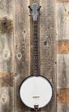 Gold Tone AC-4P Acoustic Composite Plectrum Banjo_3