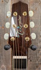 Takamine RNV460C 【世界限定100本】_5