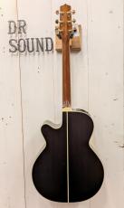 Takamine PTU541C N 【アウトレット新品特価】_4