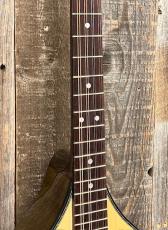 HORA M1090 Concert Bouzouki w/P.U._4