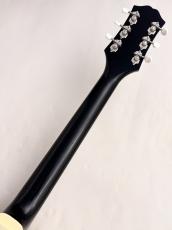 KING SNAKE LESTER BLACK BELLED YELLOW #L-020 ≒2.48kg_9