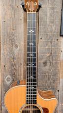 Taylor 812ce LTD 2016年製 【USED】_6
