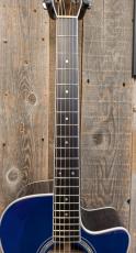 Morris R-14G SBU 【L.R.Baggs Element搭載】_6