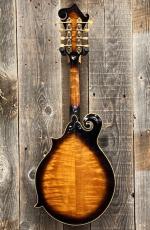 Gibson F-12 1970's _6