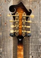 Gibson F-12 1970's _8
