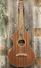 Gold Tone GT-Weissenborn_2