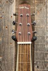 Gold Tone GT-Weissenborn_5