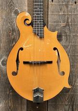 Collings MF Mandolin "Honey Amber" '22_2