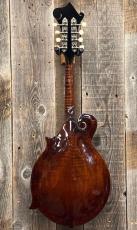 Gibson "The Flatiron" Festival-F Ca.2001_6