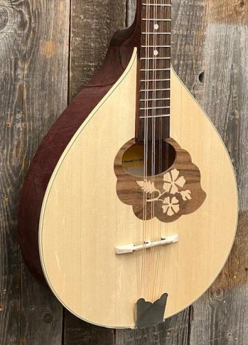 HORA Bouzouki M1089【ブズーキ】