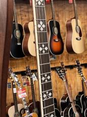 Gold Tone PS-250 Plectrum Special Banjo_4