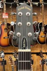 Gold Tone AC-6  Mini Acoustic Composite Banjitar_5