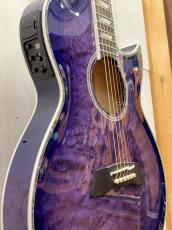 Takamine 『オーダー受付中』TSP178AC Custom ~Violet & Florentine Cutaway~ 【無金利分割OK】_3