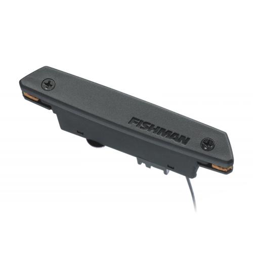 FISHMAN Rare Earth Magnetic Soundhole Pickup (Humbucking)【工賃込み】