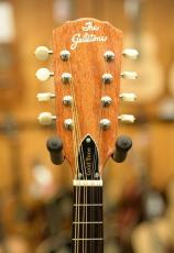 Gold Tone GM-10 Frypan Mandolin_5