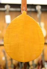 Gold Tone GM-10 Frypan Mandolin_7