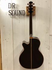 Takamine Custom DMP500 ~Espresso~_5