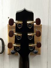 Takamine Custom DMP500 ~Espresso~_6