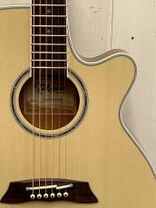 Takamine 『オーダー受付中』TSP138C ~Foundation White~_3