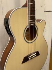 Takamine 『オーダー受付中』TSP138C ~Foundation White~_4