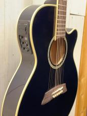Takamine 『オーダー受付中』TSP138C ~New Deep Dark Blue~【無金利分割OK】【送料は当社負担】_4