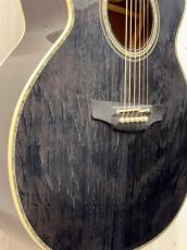 Takamine 『オーダー受付中』500CTM ~Ash Fire~ 《Select Bear Claw Spruce》【無金利分割OK】【送料は当社負担】_3