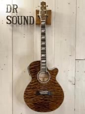Takamine 『オーダー受付中』TSP178AC ~Custom Brown Quilt  with Avalon~_2